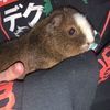 maggie29mehl
